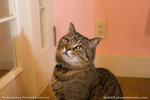 _MG_0159-2