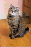 _MG_0160-2