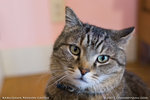 _MG_0179-2