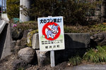 _MG_0225-2