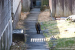 _MG_0948-2