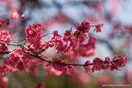 _MG_0267-2