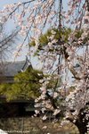 _MG_0271-2