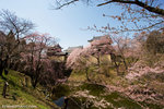 _MG_0273-2