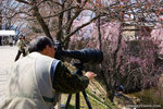 _MG_0275-2