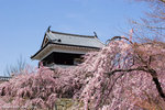 _MG_0281-2