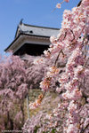 _MG_0282-2