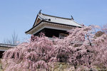 _MG_0283-2