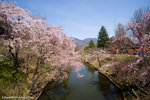 _MG_0287-2