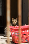 _MG_0396-2
