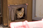 _MG_0399-2