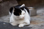 _MG_0406-2