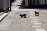 _MG_0407-2