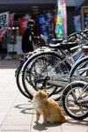 _MG_0421-2