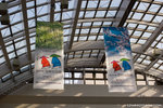_MG_0471-2