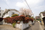 _MG_0613-2