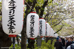 _MG_0674-2