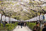 _MG_0680-2