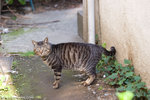 _MG_1052-2
