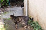 _MG_1053-2
