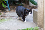 _MG_1056-2