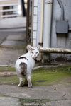 _MG_1057-2