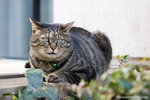 _MG_1058-2
