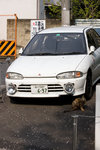 _MG_1068-2