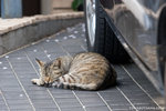_MG_1070-2