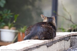 _MG_1072-2