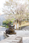 _MG_1076-2
