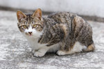 _MG_1112-2