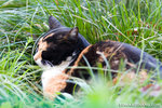 _MG_0789-2