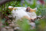 _MG_0796-2