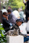 _MG_0809-2