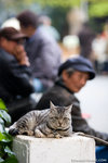 _MG_0810-2