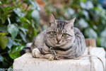 _MG_0814-2