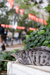 _MG_0826-2