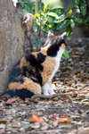 _MG_0983-2