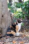 _MG_0985-2