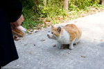 _MG_0989-2