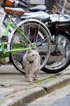 _MG_1296-2