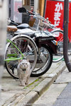 _MG_1297-2
