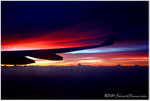 aIMG_6674
