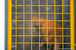 _MG_8256-2