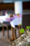 _MG_8270-2