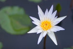 _MG_8272-2