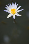 _MG_8325-2