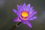 _MG_8328-2