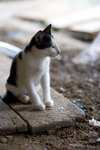 _MG_8350-2
